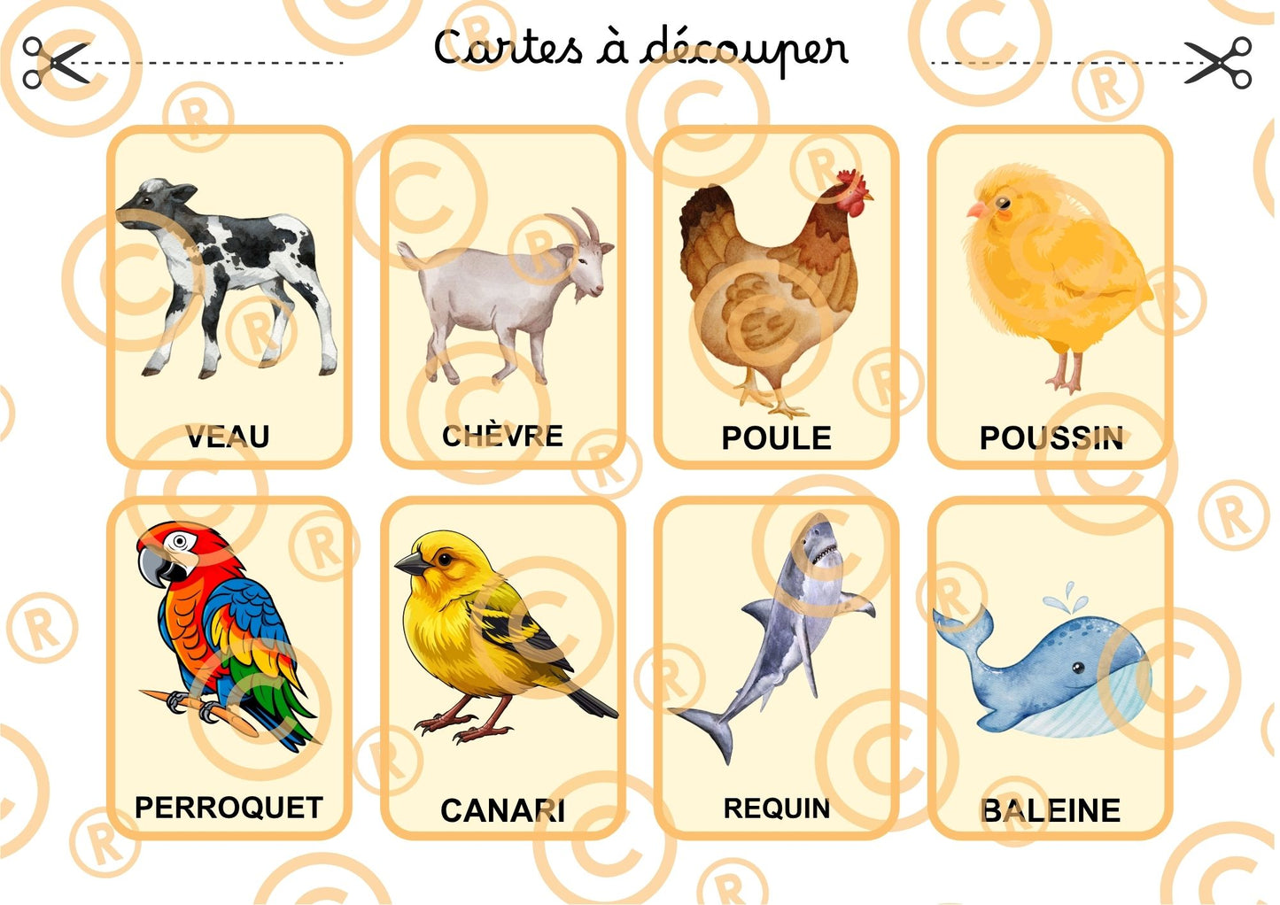 PDF Loto des animaux PDF