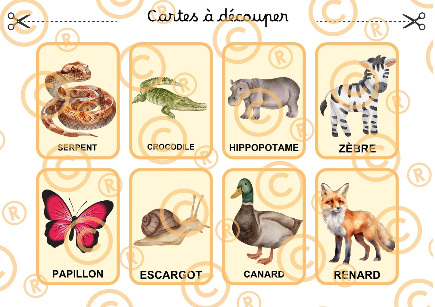 PDF Loto des animaux PDF