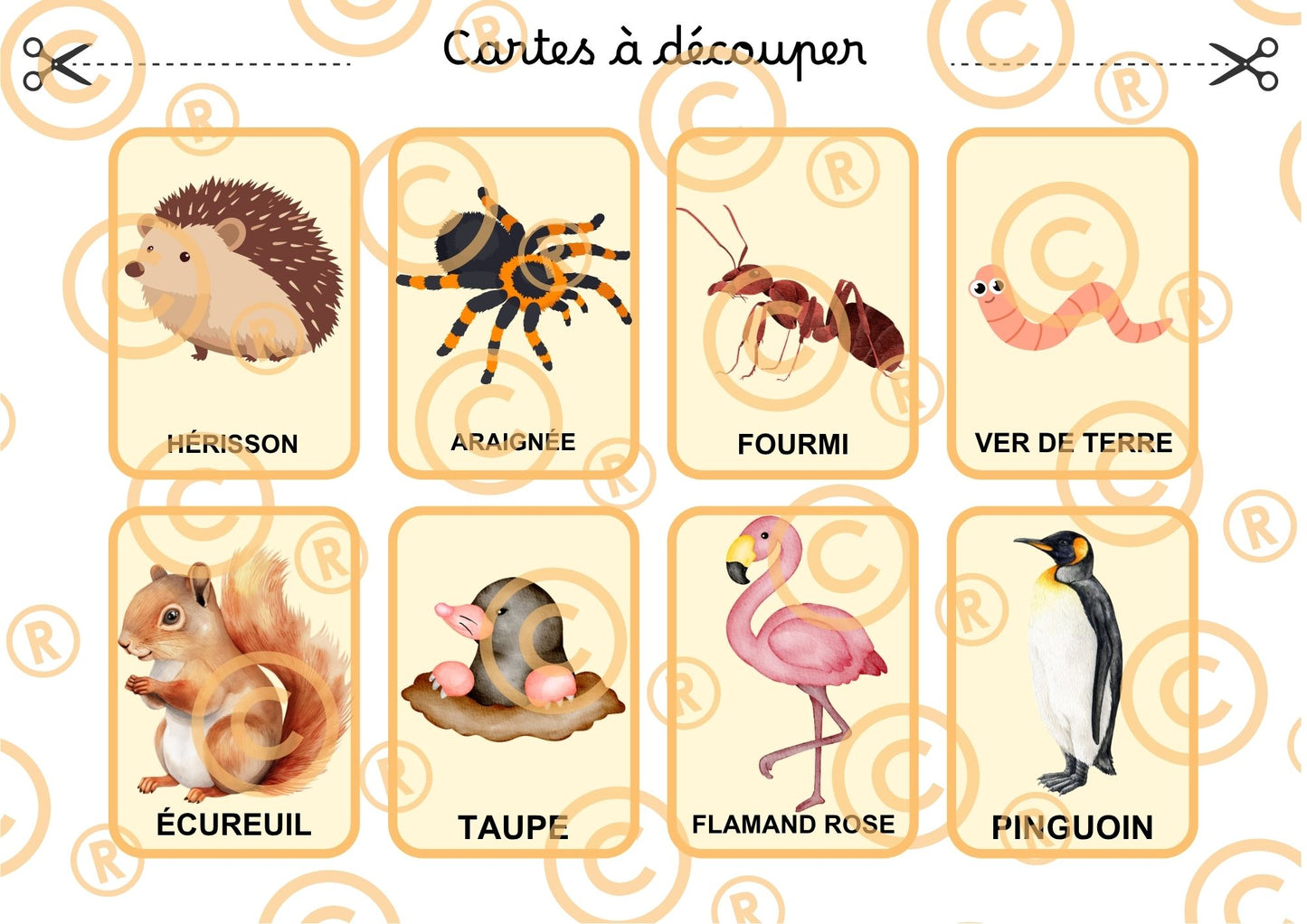 PDF Loto des animaux PDF