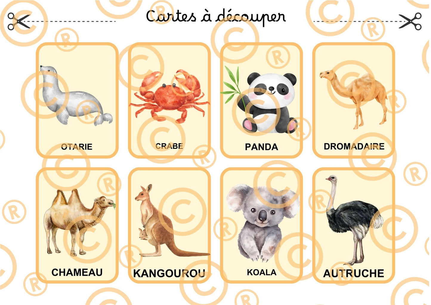 PDF Loto des animaux PDF
