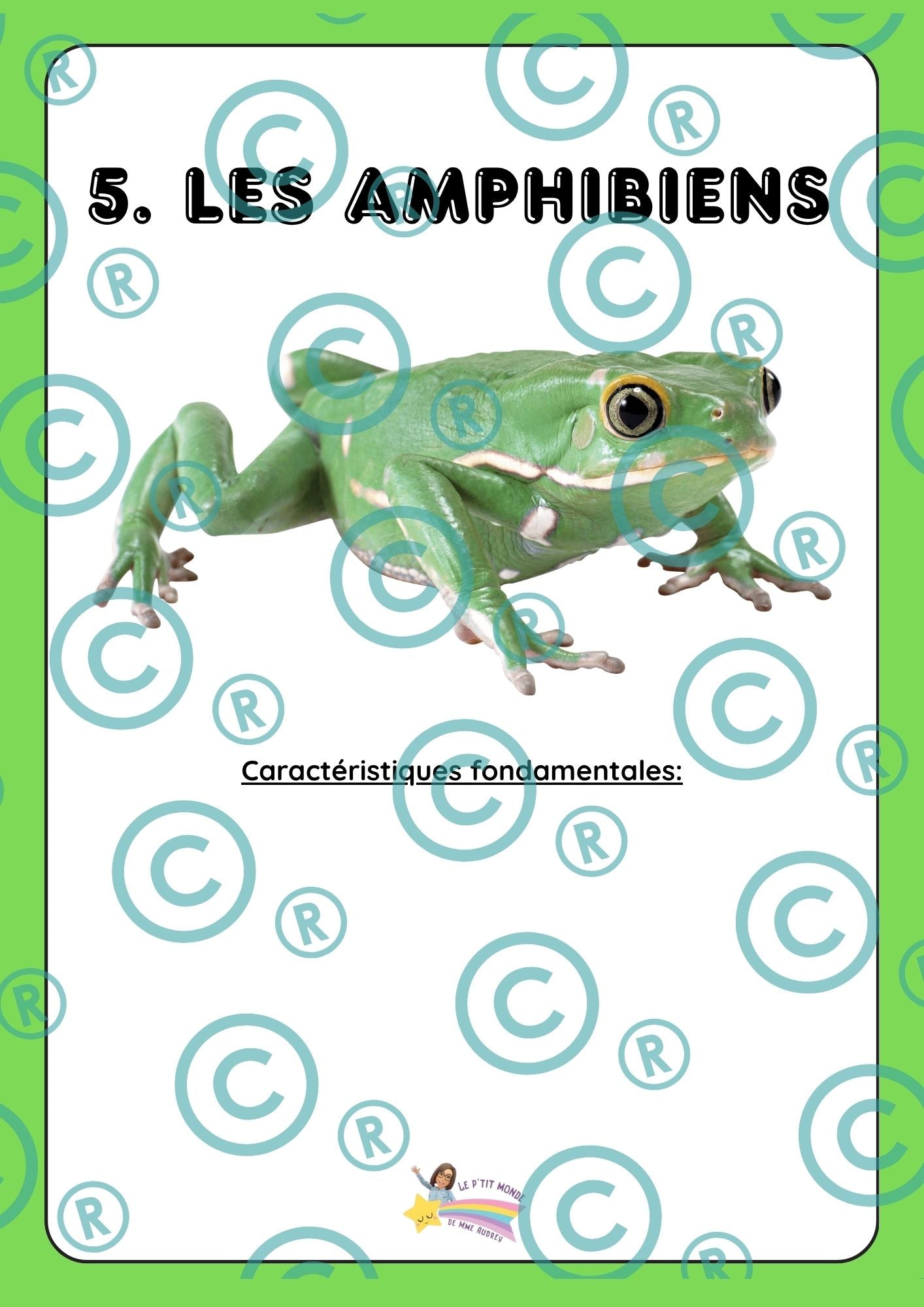 Dossier scientifique : Le monde animal (La classification)