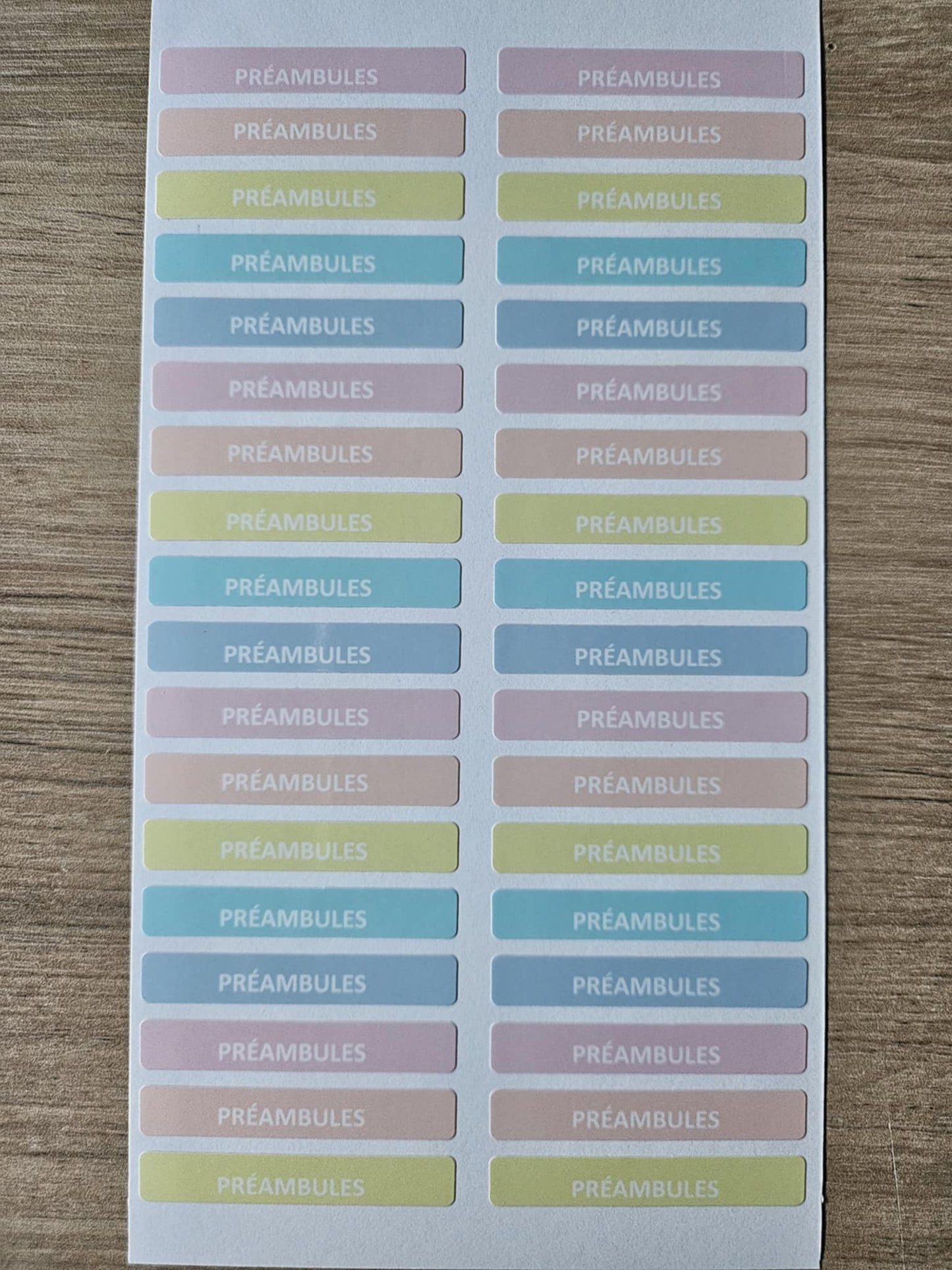 PACK COMPLETSTICKERS RECTANGULAIRES (510 stickers) 17 planches de 30 stickers