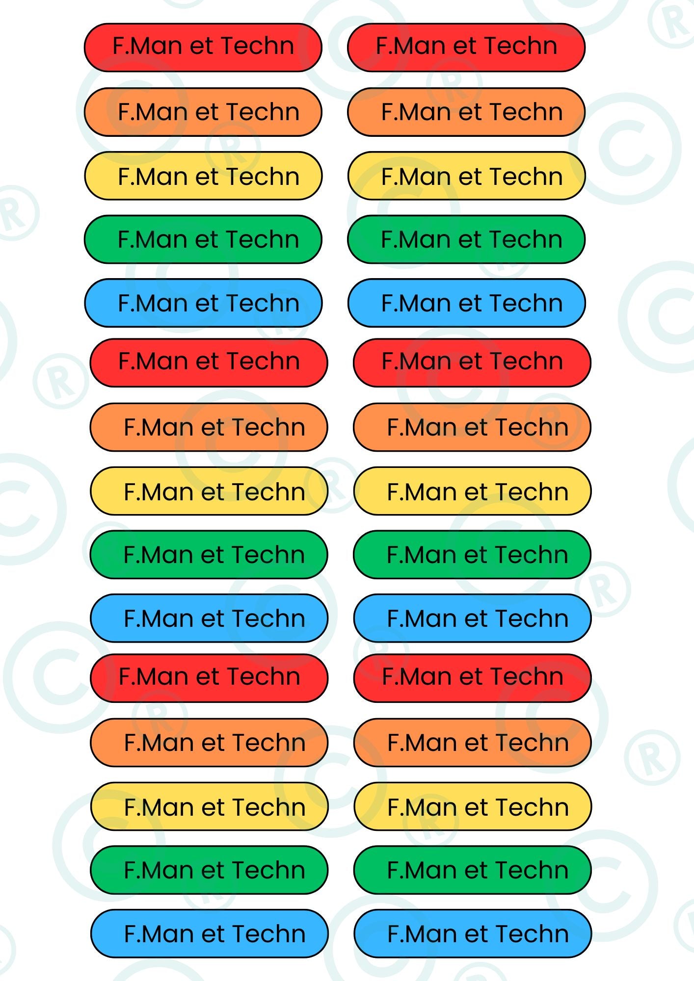 STICKERS RECTANGULAIRES : F.Man et Techn ( planche de 30 stickers)