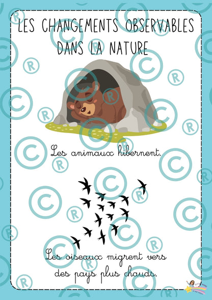 NOUVEAU ! Mon p'tit dossier : L'hiver ( maternelles)