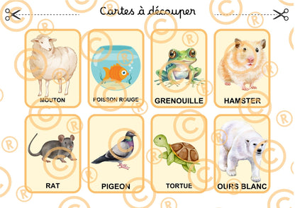 PDF Loto des animaux PDF