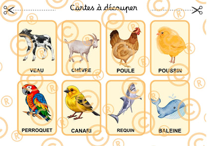 PDF Loto des animaux PDF