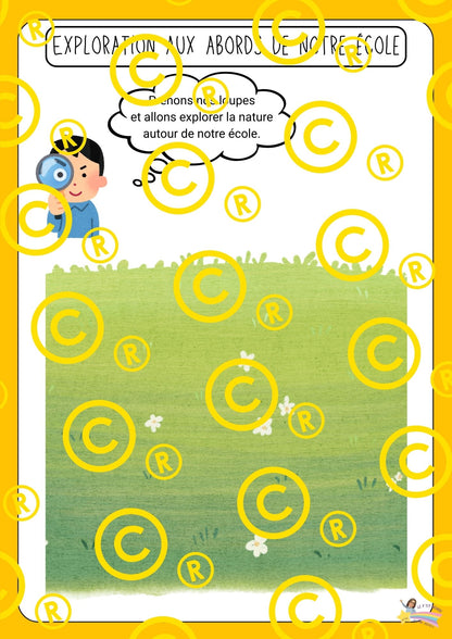 Mon dossier scientifique sur les insectes