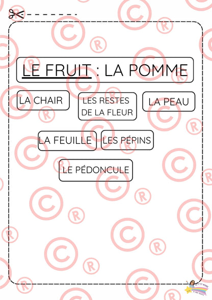 Mini Dossier sur "Les pommes"