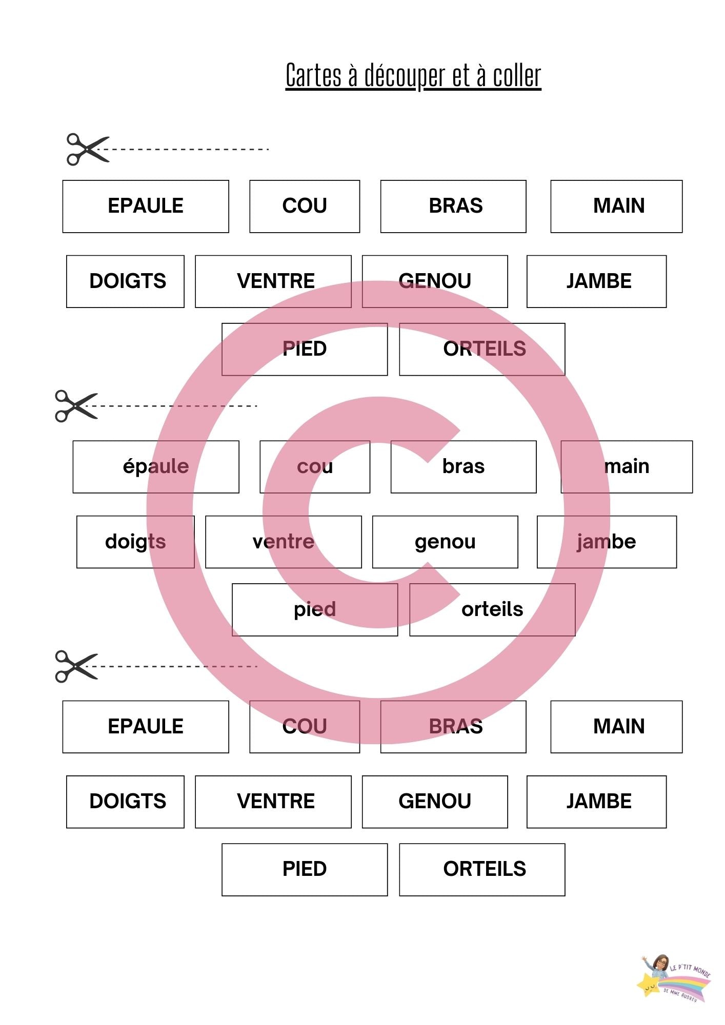 Dossier Sciences: Le corps humain /Les 5 sens (320 pages) + démarches d'investigation