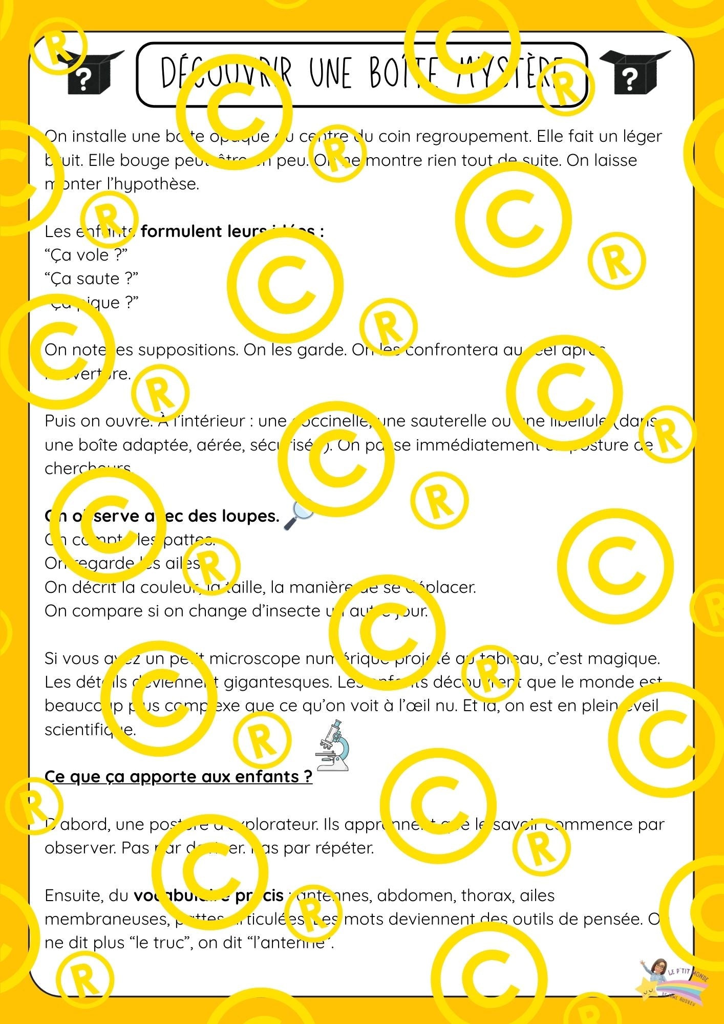 Mon dossier scientifique sur les insectes