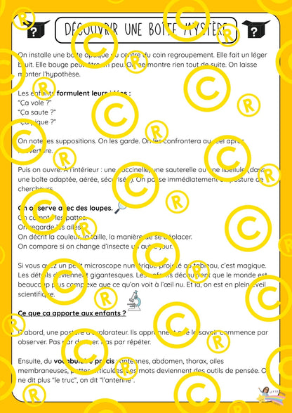 Mon dossier scientifique sur les insectes