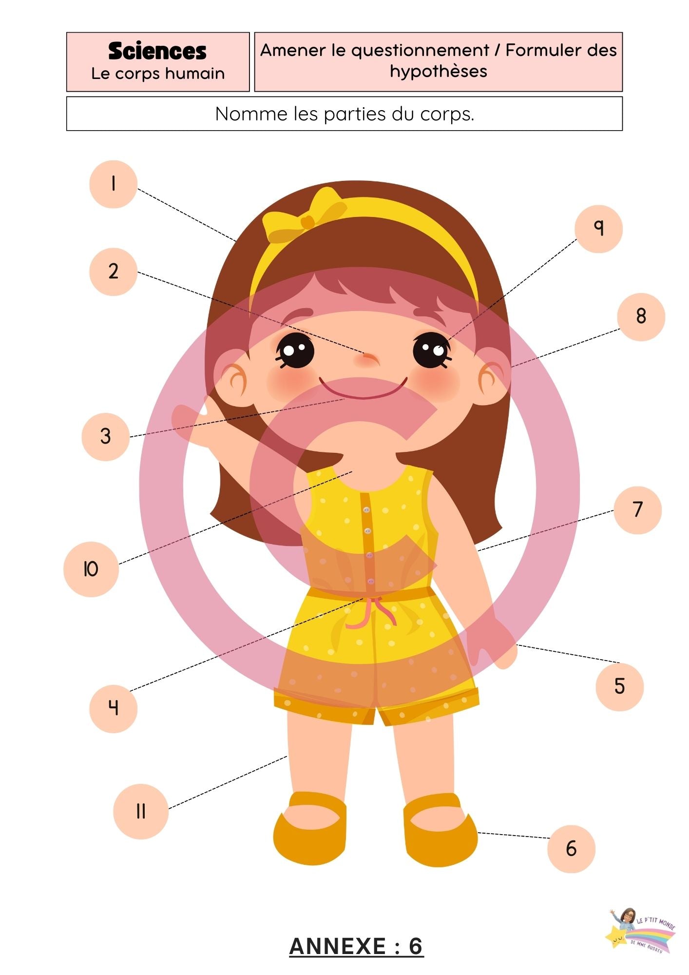 Dossier Sciences: Le corps humain /Les 5 sens (320 pages) + démarches d'investigation