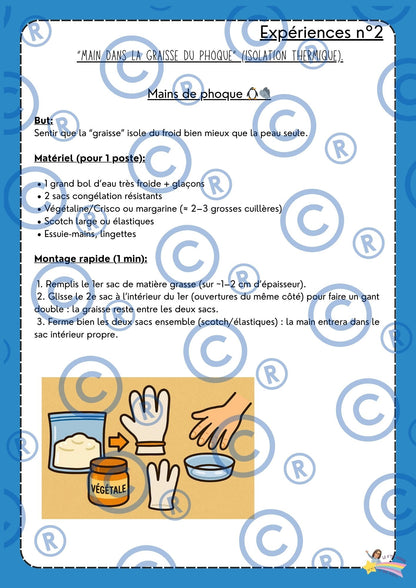 Eveil aux langues : Voyages aux pays des glaces