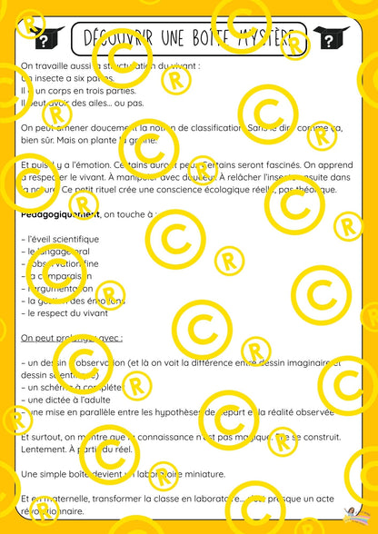 Mon dossier scientifique sur les insectes