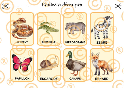 PDF Loto des animaux PDF