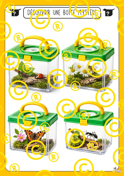 Mon dossier scientifique sur les insectes