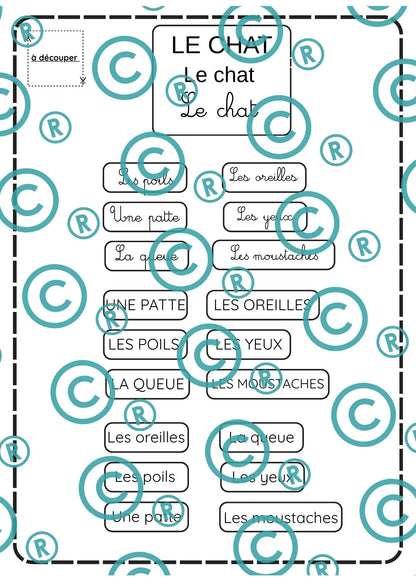 Dossier scientifique : Le monde animal (La classification)