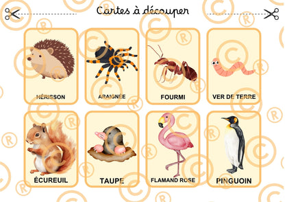 PDF Loto des animaux PDF