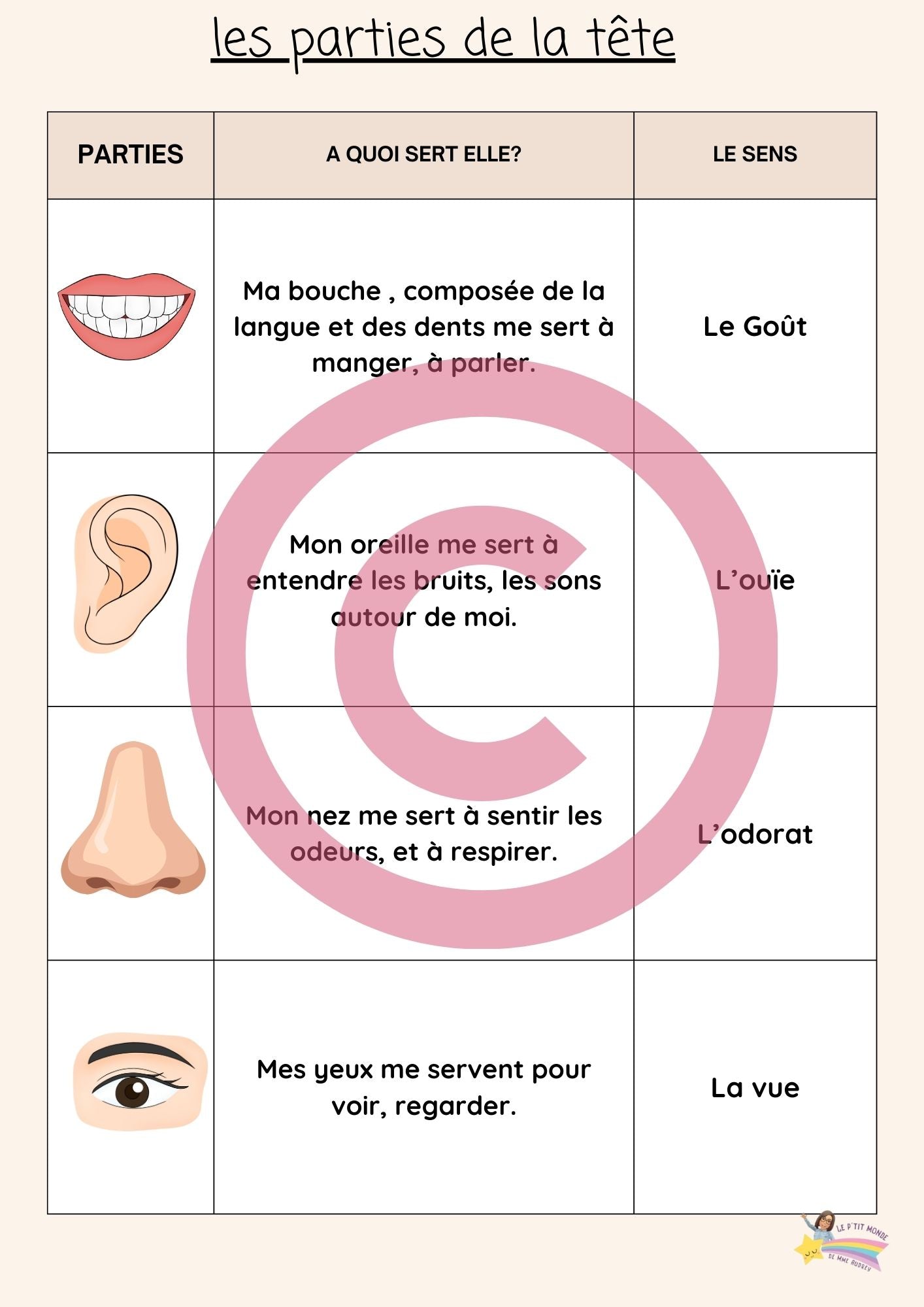 Dossier Sciences: Le corps humain /Les 5 sens (320 pages) + démarches d'investigation