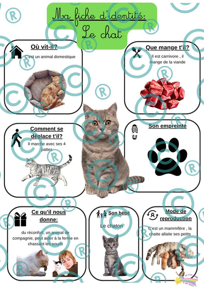 Dossier scientifique : Le monde animal (La classification)