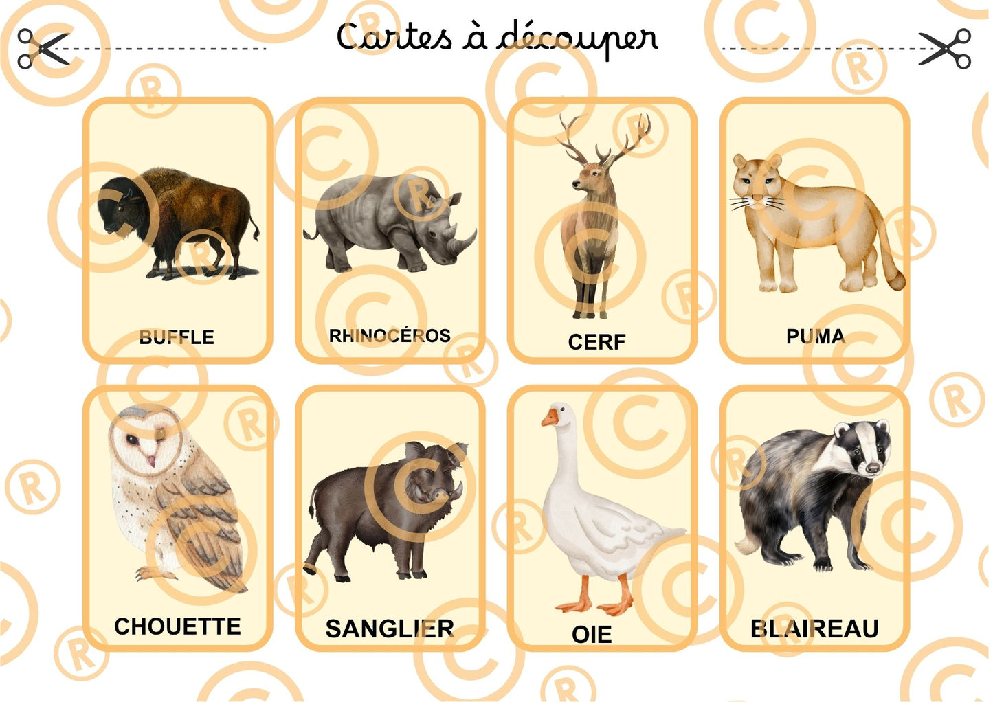 PDF Loto des animaux PDF