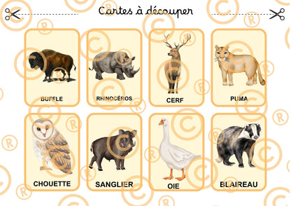 PDF Loto des animaux PDF