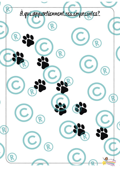 Dossier scientifique : Le monde animal (La classification)