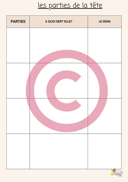 Dossier Sciences: Le corps humain /Les 5 sens (320 pages) + démarches d'investigation