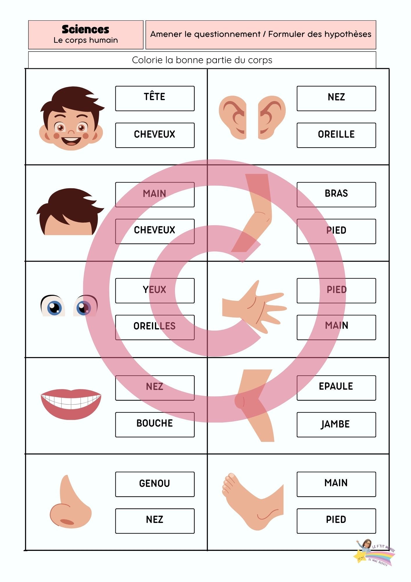 Dossier Sciences: Le corps humain /Les 5 sens (320 pages) + démarches d'investigation