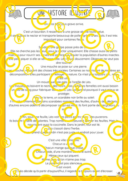 Mon dossier scientifique sur les insectes