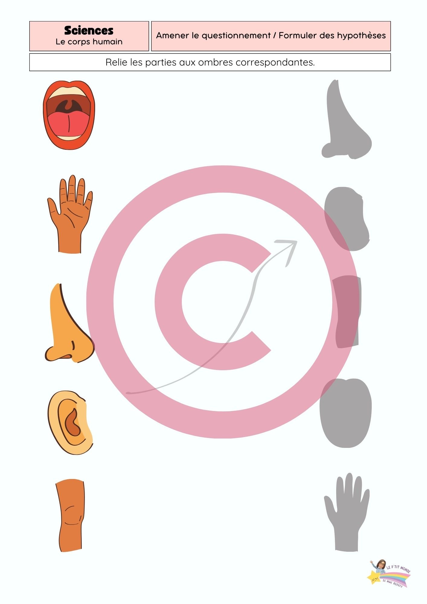 Dossier Sciences: Le corps humain /Les 5 sens (320 pages) + démarches d'investigation