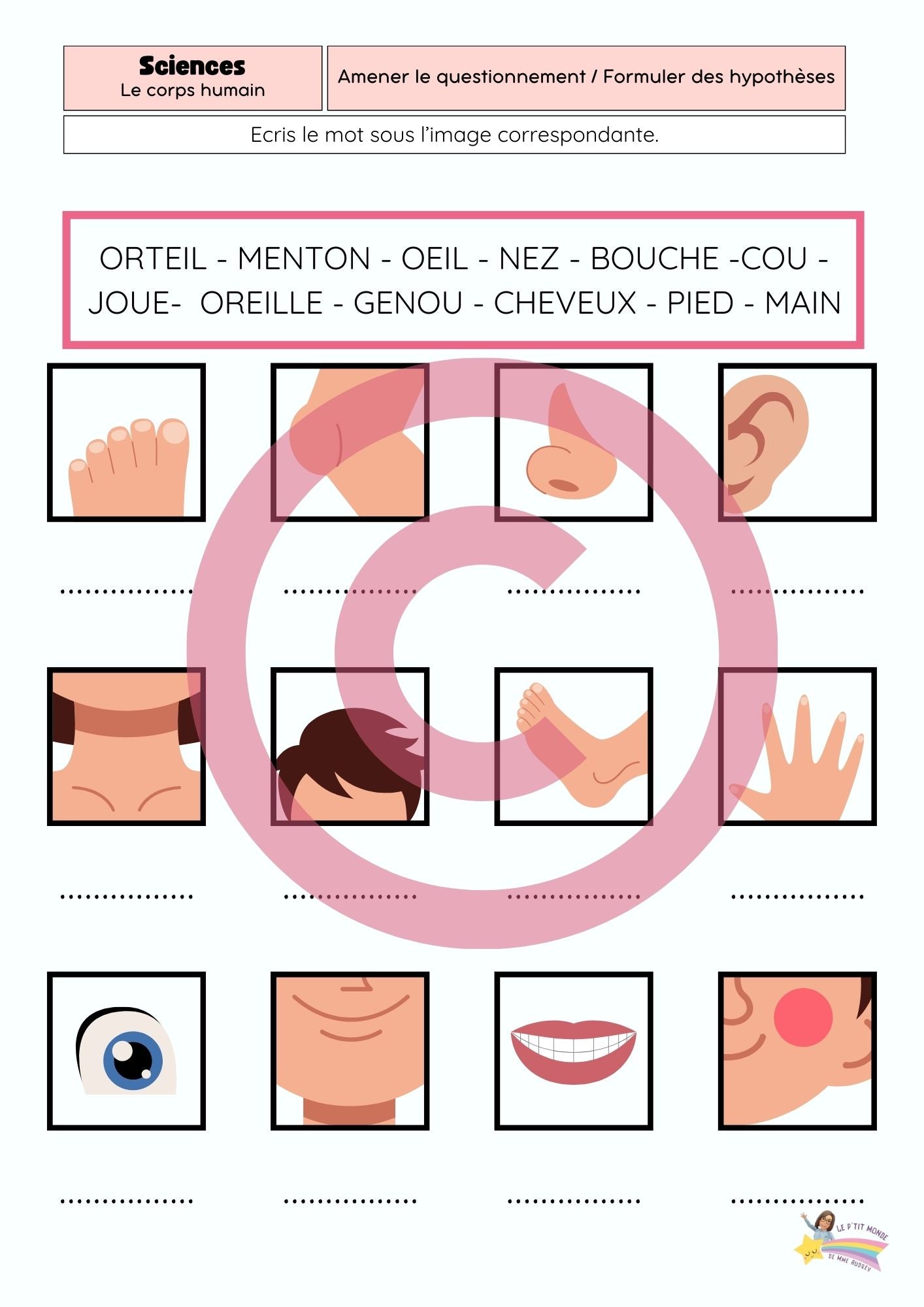 Dossier Sciences: Le corps humain /Les 5 sens (320 pages) + démarches d'investigation