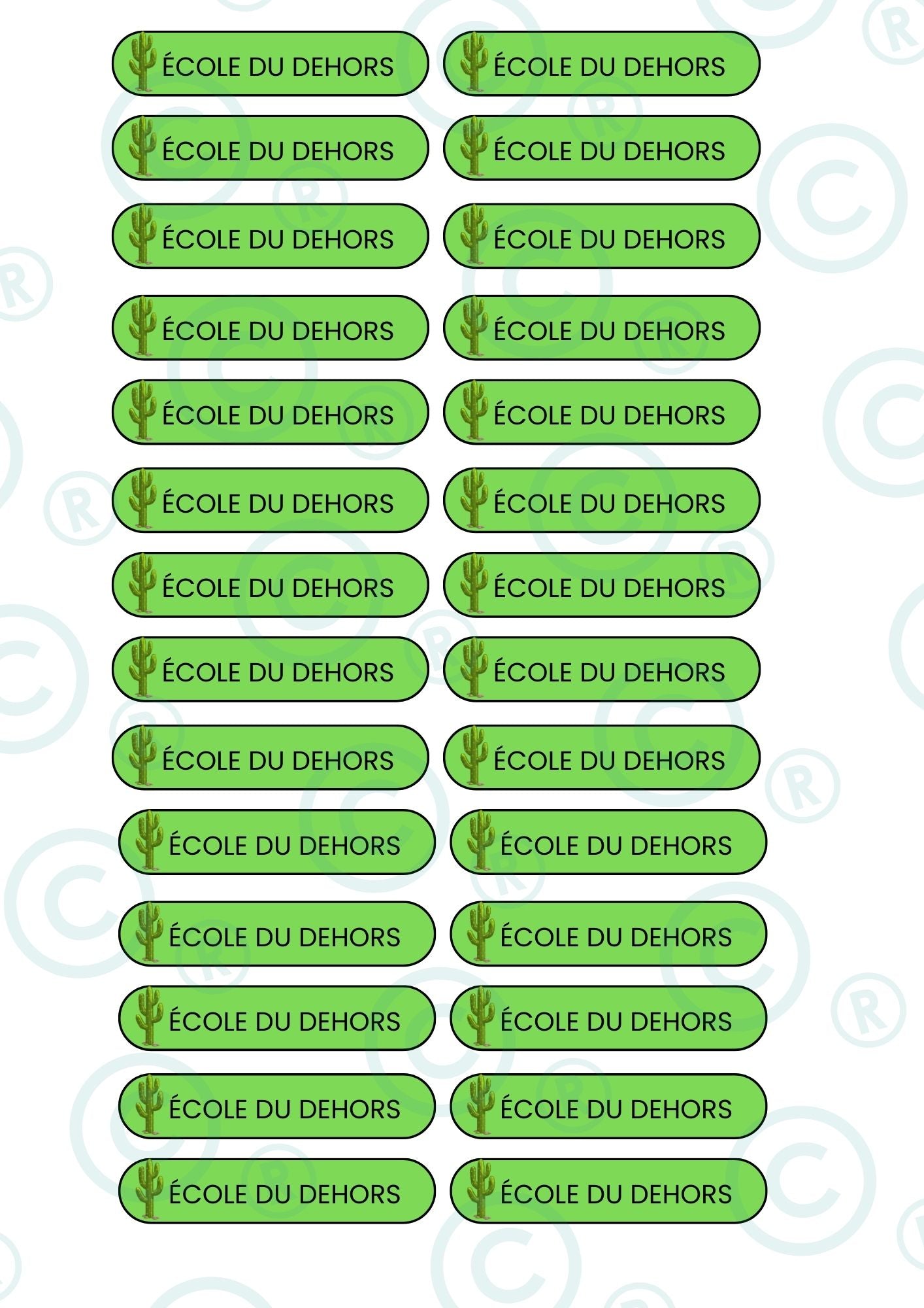 PACK NOUVEAUX STICKERS RECTANGULAIRES ( 8 planches de 30 stickers)