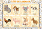 PDF Loto des animaux PDF