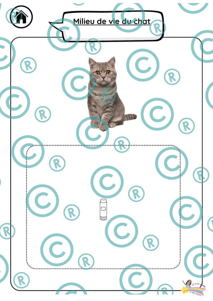 Dossier scientifique : Le monde animal (La classification)