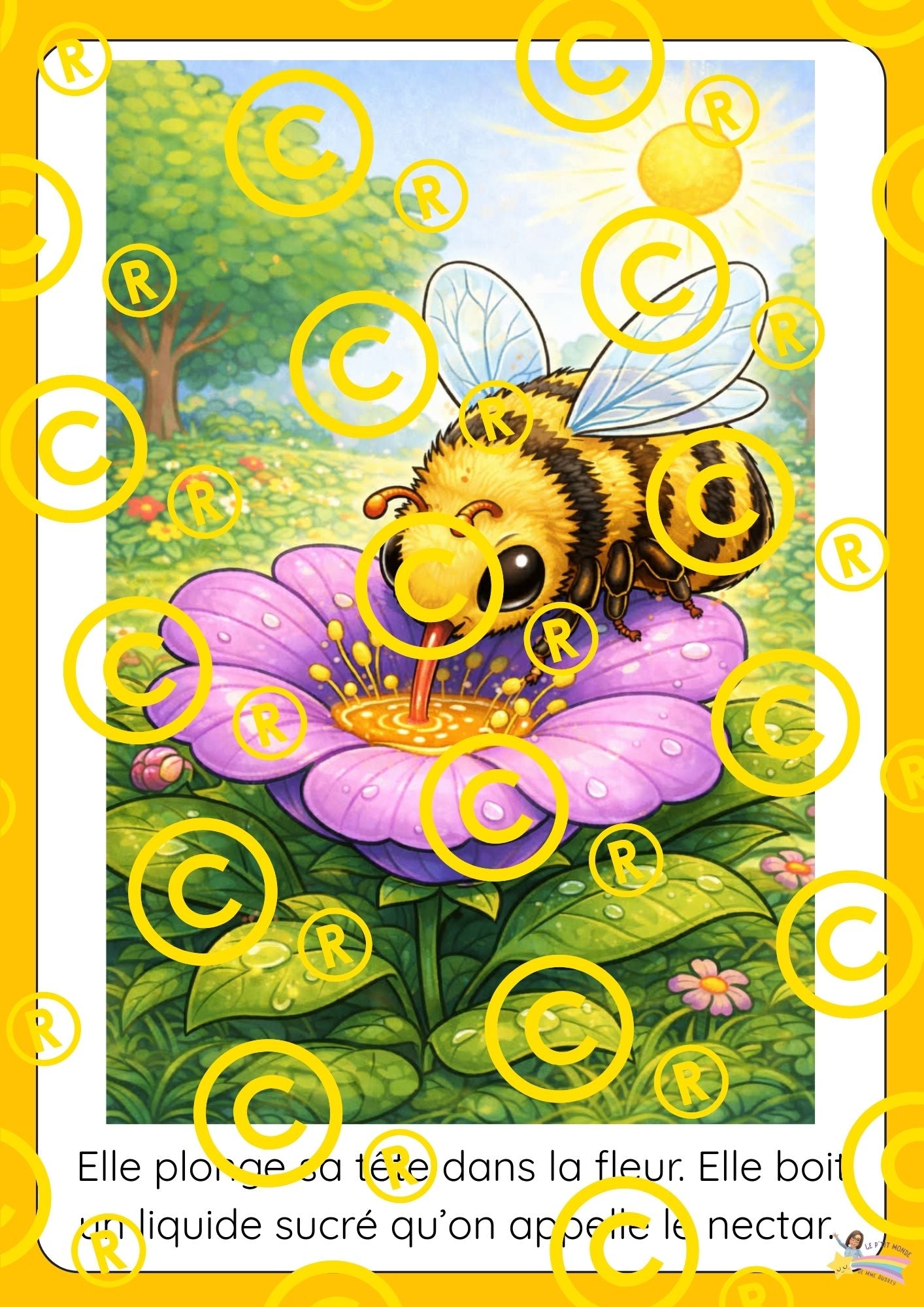 Mon dossier scientifique sur les insectes