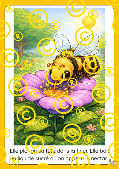 Mon dossier scientifique sur les insectes