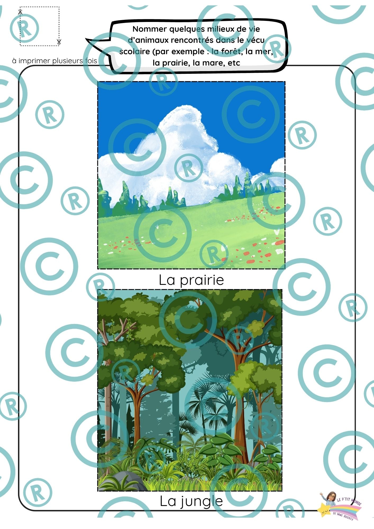 Dossier scientifique : Le monde animal (La classification)