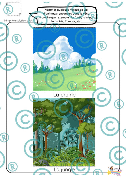 Dossier scientifique : Le monde animal (La classification)