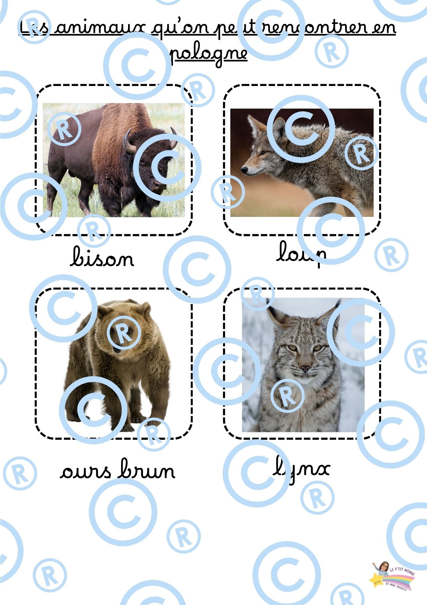 Tome 2: Eveil aux langues: Les objets du monde