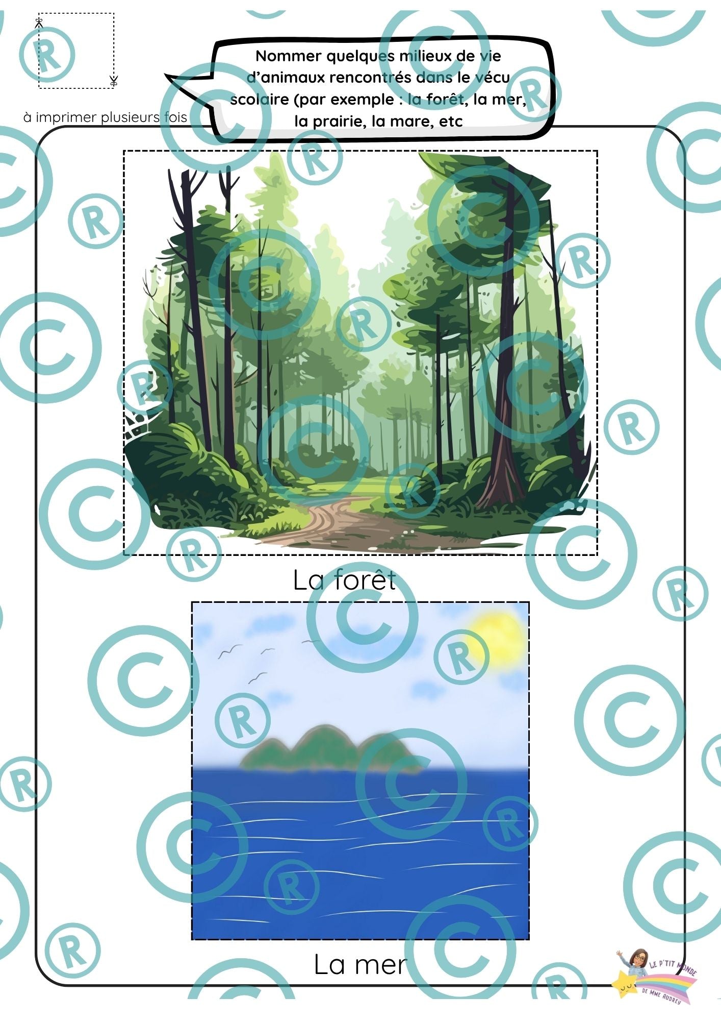 Dossier scientifique : Le monde animal (La classification)