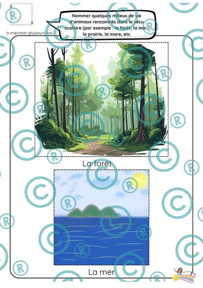 Dossier scientifique : Le monde animal (La classification)