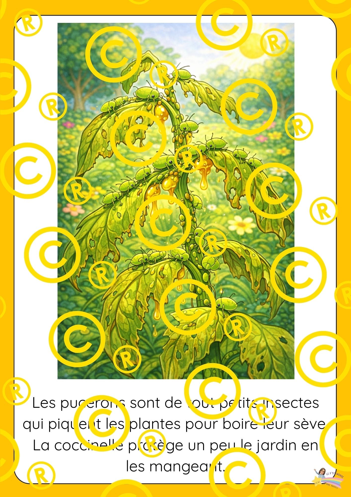 Mon dossier scientifique sur les insectes