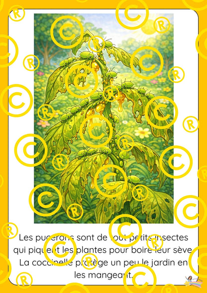 Mon dossier scientifique sur les insectes