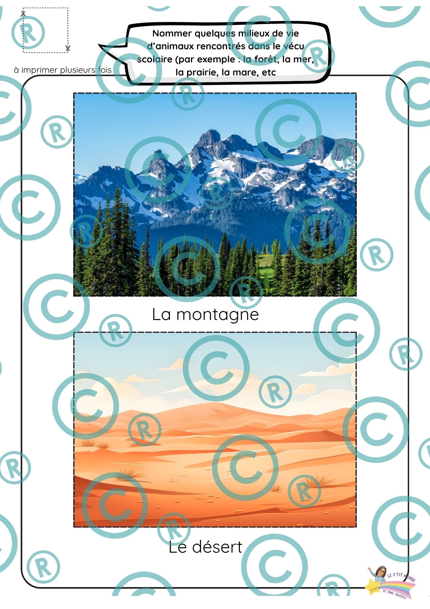 Dossier scientifique : Le monde animal (La classification)