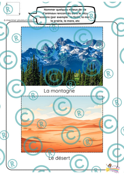 Dossier scientifique : Le monde animal (La classification)