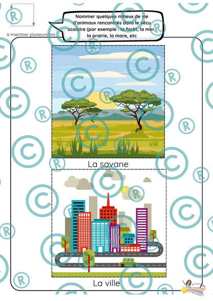 Dossier scientifique : Le monde animal (La classification)