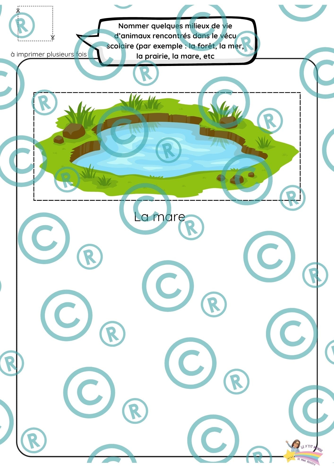 Dossier scientifique : Le monde animal (La classification)