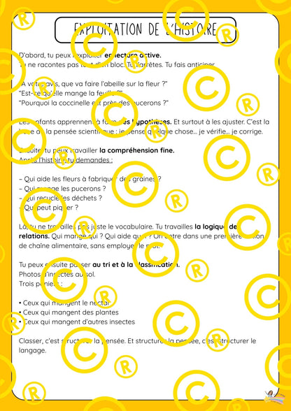 Mon dossier scientifique sur les insectes