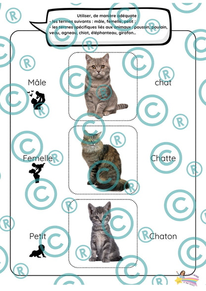 Dossier scientifique : Le monde animal (La classification)